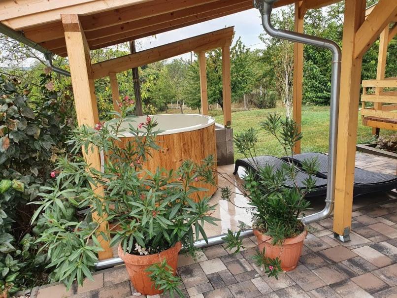 Borkuti Panzio Es Apartman Balatonszemes Bagian luar foto
